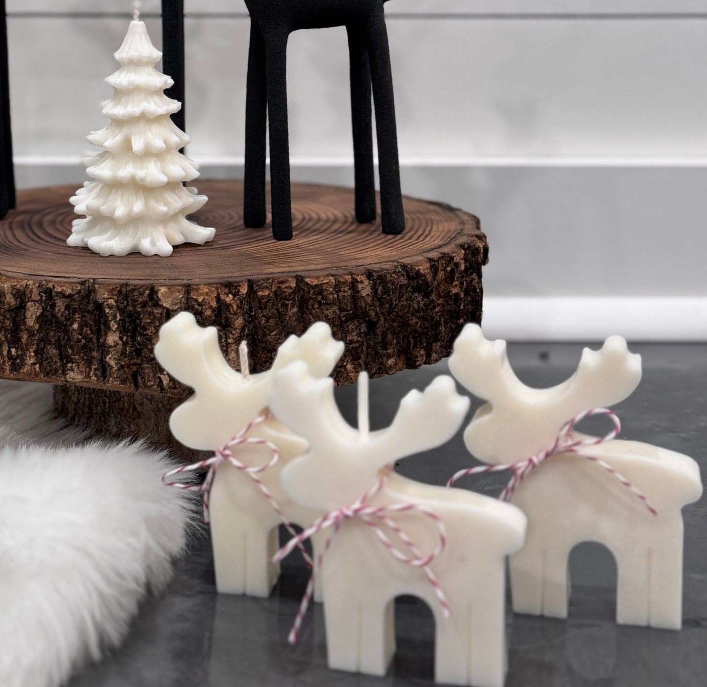 Reindeer/Moose