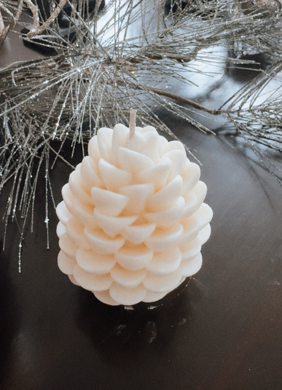 Winter Pinecone