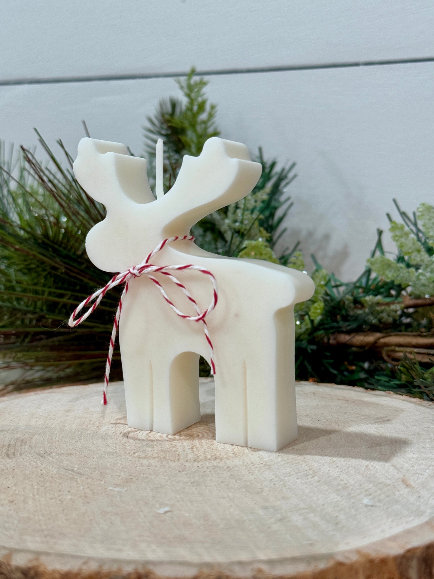 Reindeer/Moose