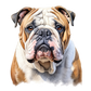 Dog Label Candle