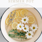 Simmer pot with lemons, lavender, rosemary  and daisies in water on a white background
