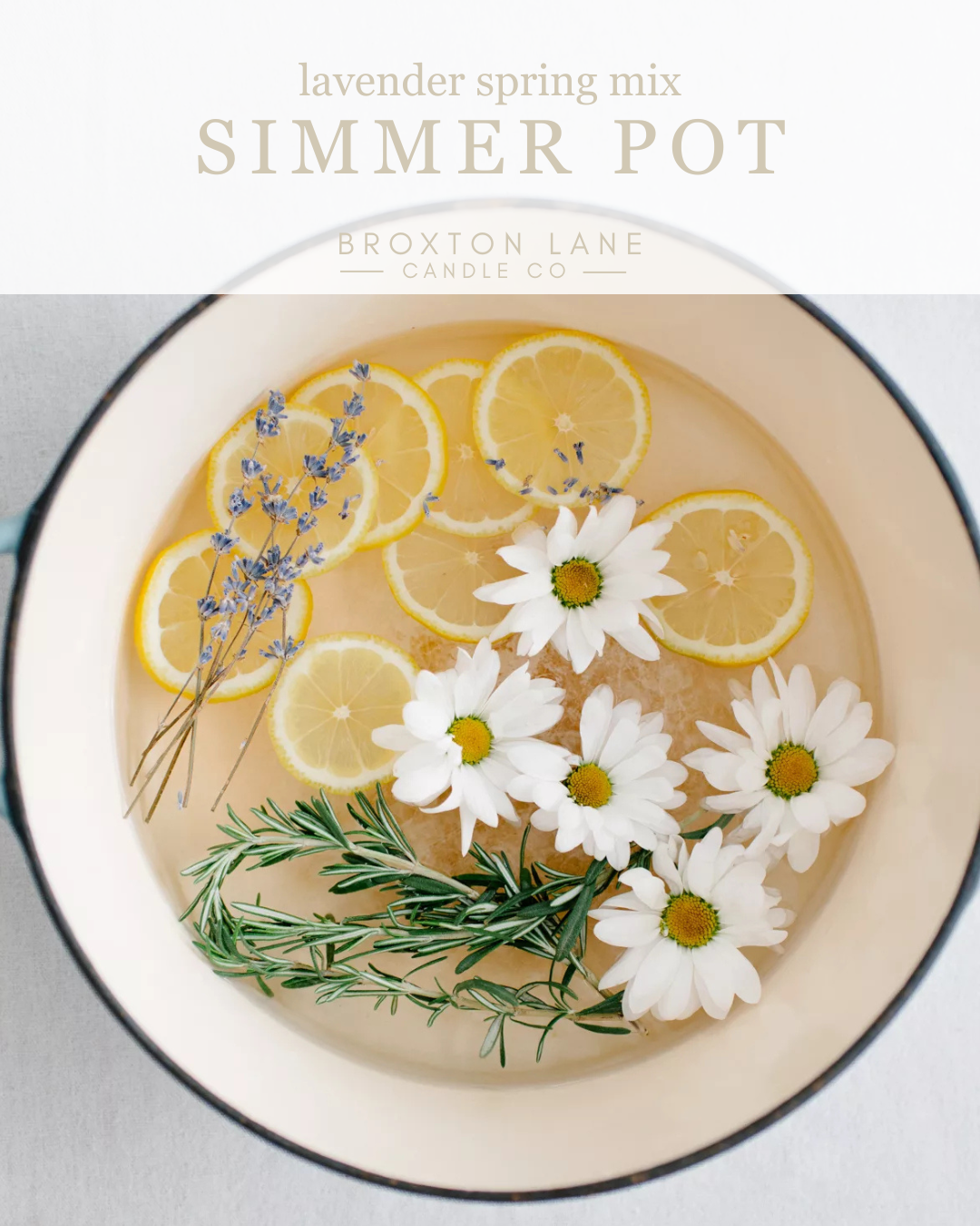 Simmer pot with lemons, lavender, rosemary  and daisies in water on a white background