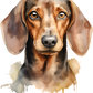 Dog Label Candle