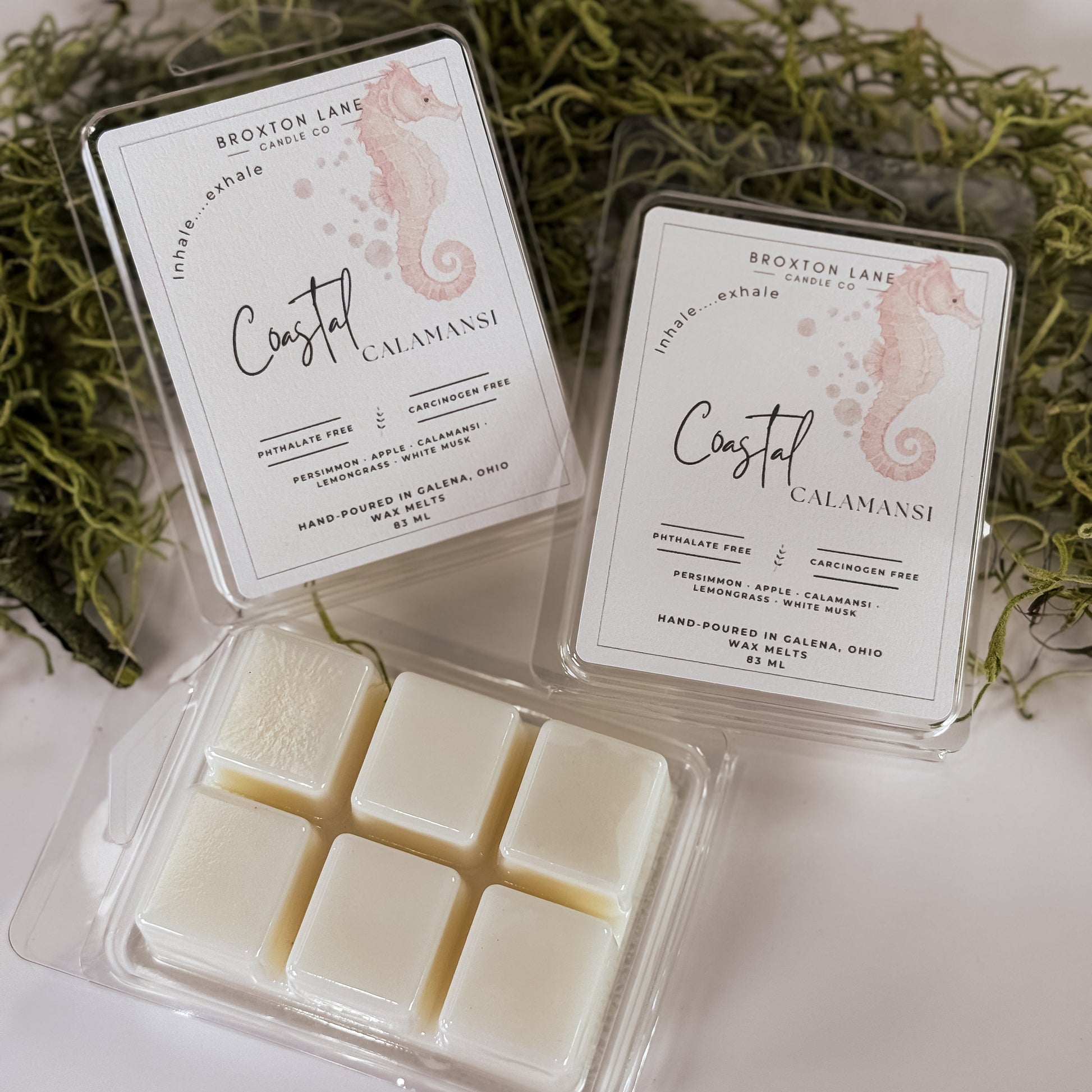 Two packages of 'Coastal Calamansi' wax melts on a white surface with greenery.