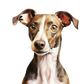 Dog Label Candle