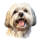Dog Label Candle