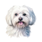 Dog Label Candle