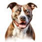 Dog Label Candle