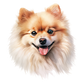 Dog Label Candle
