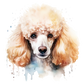 Dog Label Candle