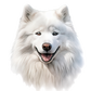 Dog Label Candle