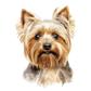 Dog Label Candle