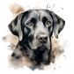 Dog Label Candle