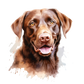 Dog Label Candle