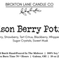 Poison Berry Potion